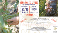 Découverte Vendanges & Vous 2020 en Champagne