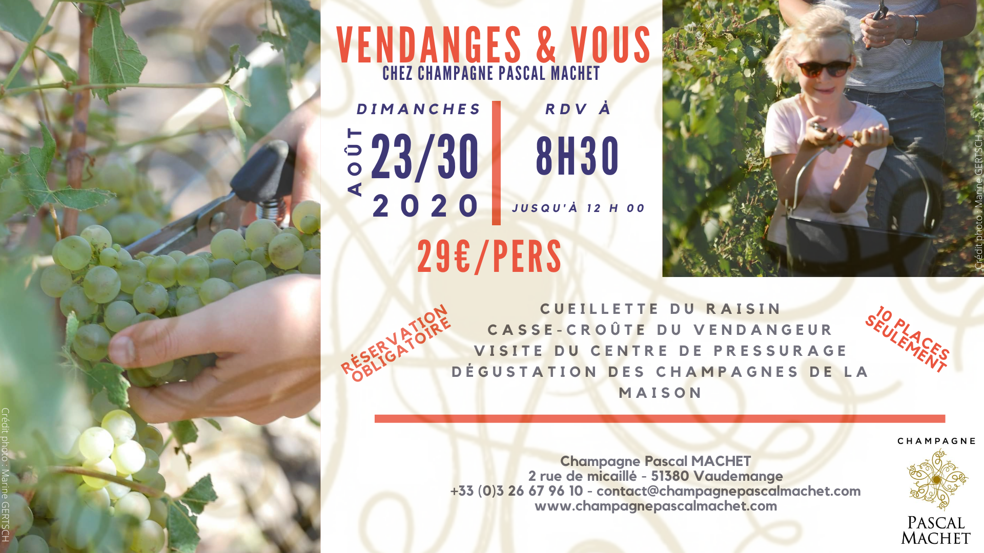 Découverte Vendanges & Vous 2020 en Champagne