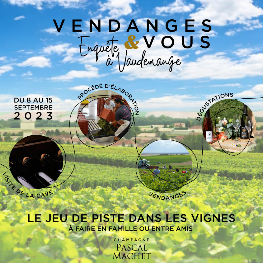 Vendanges et Vous - Enquête à Vaudemange - Champagne Pascal Machet